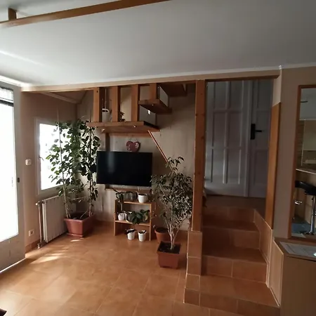 Apartament Bambusz *