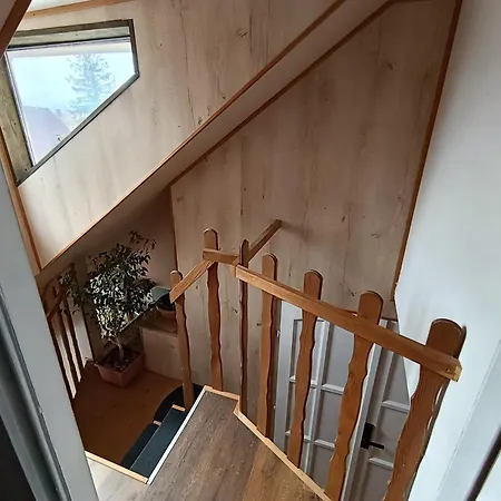 Bambusz Siófok