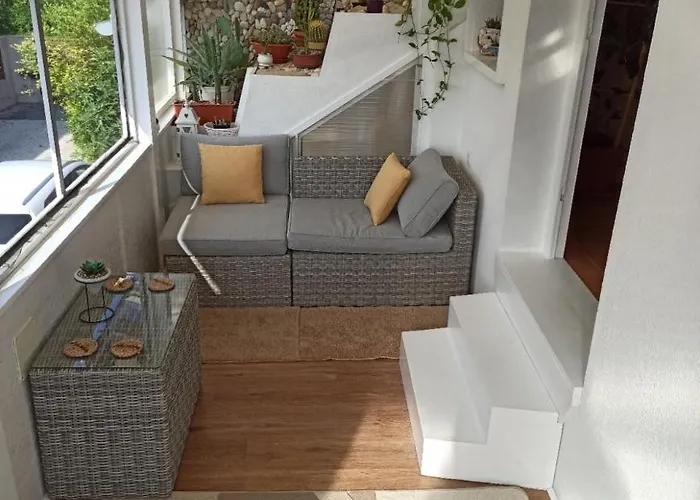 Pelso Bambusz * シオーフォク