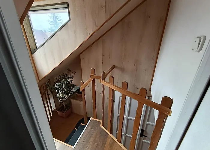 Pelso Bambusz シオーフォク